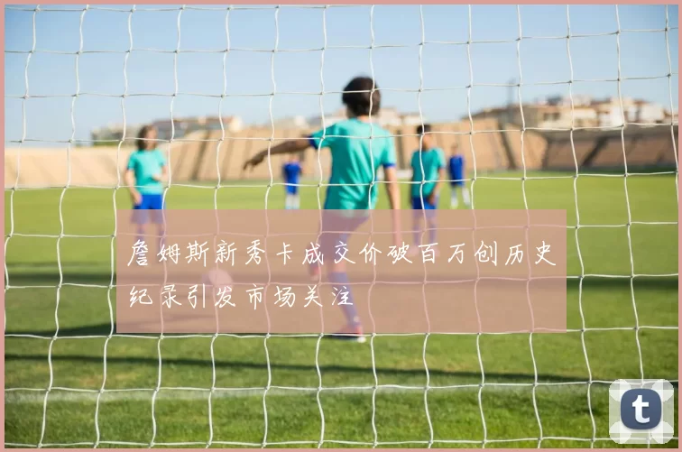 詹姆斯新秀卡成交价破百万创历史纪录引发市场关注