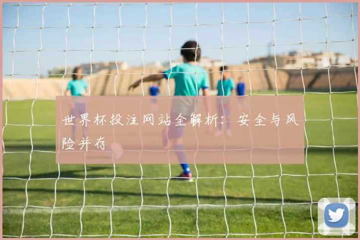 世界杯投注网站全解析:安全与风险并存
