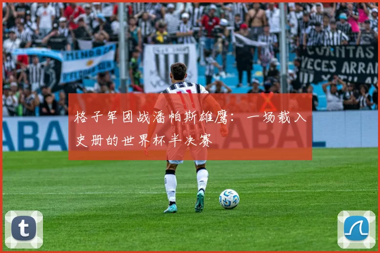 格子军团战潘帕斯雄鹰:一场载入史册的世界杯半决赛