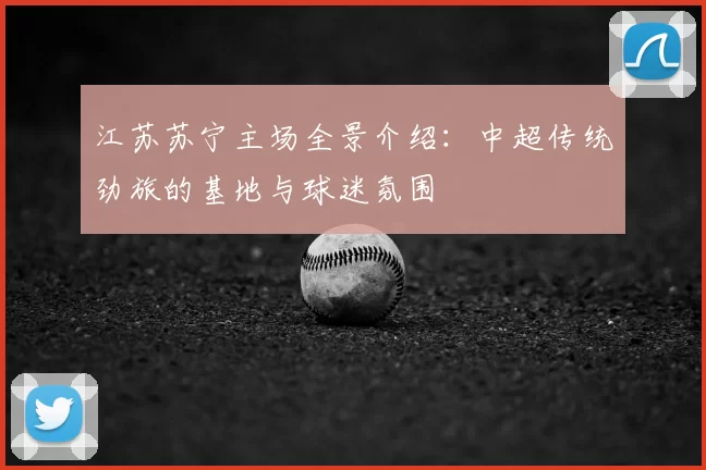 江苏苏宁主场全景介绍:中超传统劲旅的基地与球迷氛围