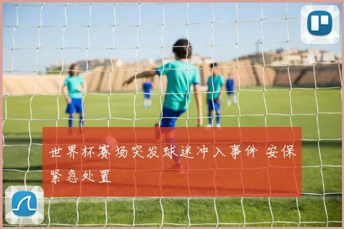 世界杯赛场突发球迷冲入事件 安保紧急处置
