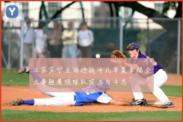 江苏苏宁主场迎战河北华夏幸福全力争胜展现球队实力与斗志