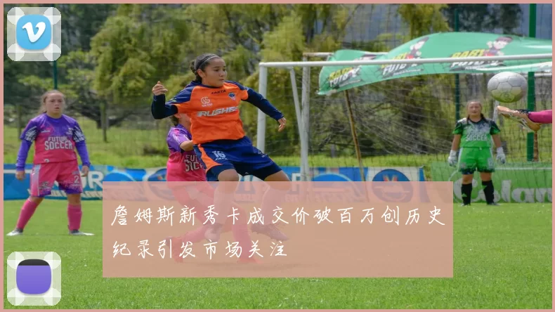 詹姆斯新秀卡成交价破百万创历史纪录引发市场关注