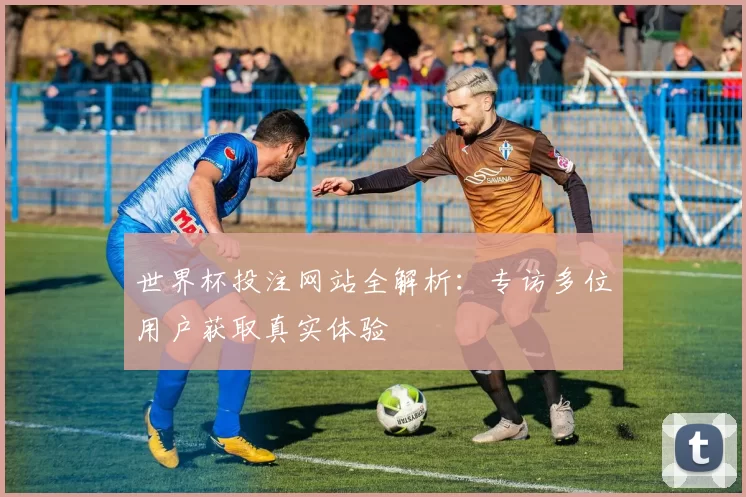 世界杯投注网站全解析:专访多位用户获取真实体验