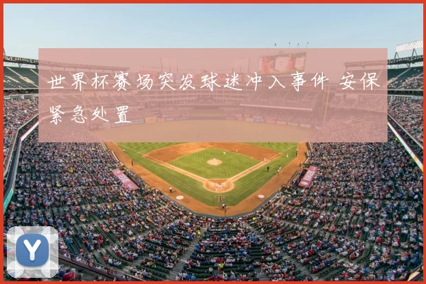 世界杯赛场突发球迷冲入事件 安保紧急处置