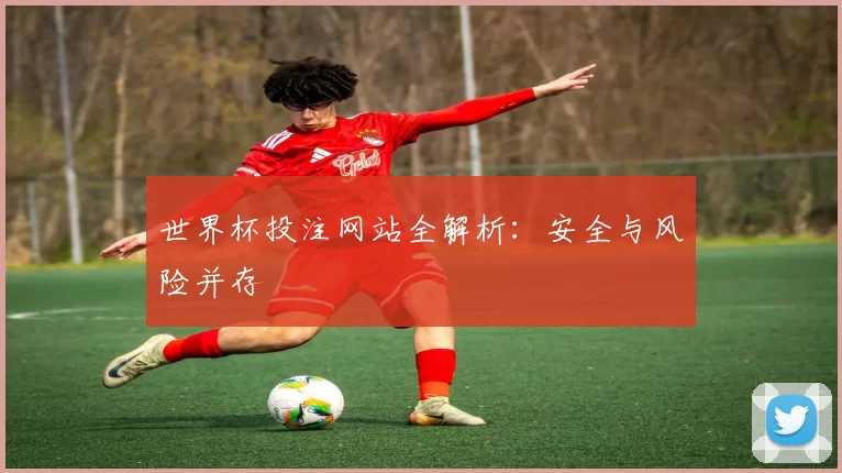 世界杯投注网站全解析:安全与风险并存