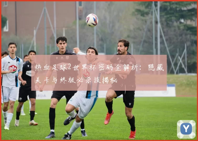 热血足球2世界杯密码全解析:隐藏关卡与终极必杀技揭秘