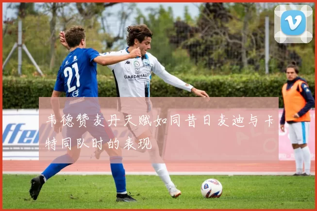 韦德赞麦丹天赋如同昔日麦迪与卡特同队时的表现